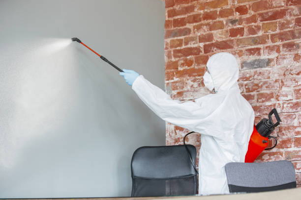 Best HVAC Mold Inspection and Cleaning  in Kgsford Heights, IN