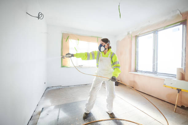 Best Flood Damage  in Kgsford Heights, IN