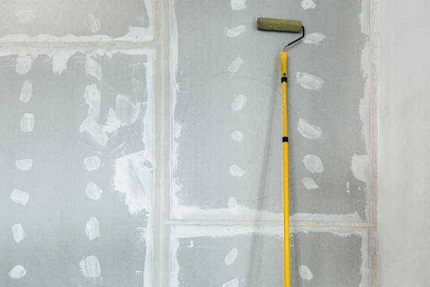 Best Mold Remediation for Healthcare Facilities  in Kgsford Heights, IN