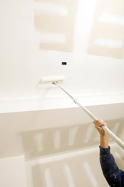 Best Mold Odor Removal Services  in Kgsford Heights, IN