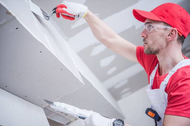 Best Biohazard Mold Removal  in Kgsford Heights, IN